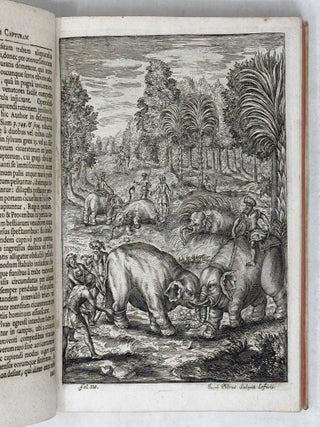 Elephantographia curiosa, seu elephanti descriptio, juxta methodum et leges Imperialis Academi&aelig; Leopoldino-Carolin&aelig; natur&aelig; curiosorum adornata, multisqve selectis observationibus physicis, medicis et jucundis historiis referta, cum figuris &aelig;neis