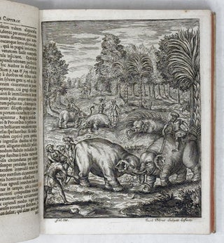 Elephantographia curiosa, seu elephanti descriptio, juxta methodum et leges Imperialis Academiæ Leopoldino-Carolinæ naturæ curiosorum adornata, multisqve selectis observationibus physicis, medicis et jucundis historiis referta, cum figuris æneis