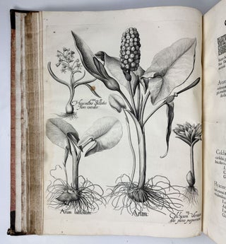 Hortus Eystettensis, Sive Diligens et accurata omnium Plantarum, Florum, Stirpium, ex variis orbis terræ partibus, singulari studio collectarum quæ in celeberrimis viridariis arcem episcopalem ibidem cingentibus, hoc tempore conspiciuntus delineatio et ad vivum repræsentatio Operâ Basilii Besleri Philiatri et pharmacopoei. M.D C.XIII