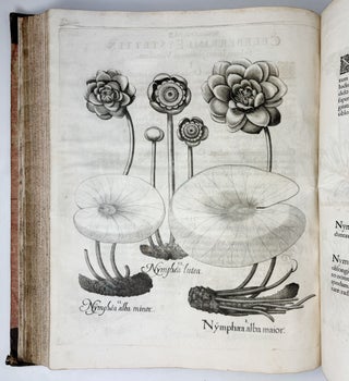 Hortus Eystettensis, Sive Diligens et accurata omnium Plantarum, Florum, Stirpium, ex variis orbis terræ partibus, singulari studio collectarum quæ in celeberrimis viridariis arcem episcopalem ibidem cingentibus, hoc tempore conspiciuntus delineatio et ad vivum repræsentatio Operâ Basilii Besleri Philiatri et pharmacopoei. M.D C.XIII