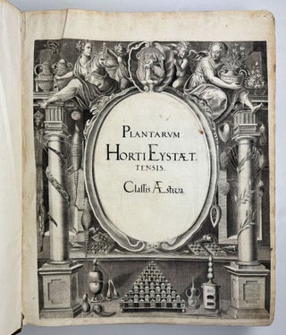 Hortus Eystettensis, Sive Diligens et accurata omnium Plantarum, Florum, Stirpium, ex variis orbis terræ partibus, singulari studio collectarum quæ in celeberrimis viridariis arcem episcopalem ibidem cingentibus, hoc tempore conspiciuntus delineatio et ad vivum repræsentatio Operâ Basilii Besleri Philiatri et pharmacopoei. M.D C.XIII