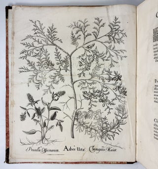 Hortus Eystettensis, Sive Diligens et accurata omnium Plantarum, Florum, Stirpium, ex variis orbis terræ partibus, singulari studio collectarum quæ in celeberrimis viridariis arcem episcopalem ibidem cingentibus, hoc tempore conspiciuntus delineatio et ad vivum repræsentatio Operâ Basilii Besleri Philiatri et pharmacopoei. M.D C.XIII