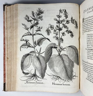 Hortus Eystettensis, Sive Diligens et accurata omnium Plantarum, Florum, Stirpium, ex variis orbis terræ partibus, singulari studio collectarum quæ in celeberrimis viridariis arcem episcopalem ibidem cingentibus, hoc tempore conspiciuntus delineatio et ad vivum repræsentatio Operâ Basilii Besleri Philiatri et pharmacopoei. M.D C.XIII