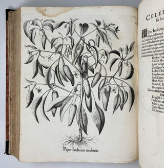 Hortus Eystettensis, Sive Diligens et accurata omnium Plantarum, Florum, Stirpium, ex variis orbis terræ partibus, singulari studio collectarum quæ in celeberrimis viridariis arcem episcopalem ibidem cingentibus, hoc tempore conspiciuntus delineatio et ad vivum repræsentatio Operâ Basilii Besleri Philiatri et pharmacopoei. M.D C.XIII