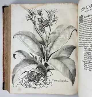 Hortus Eystettensis, Sive Diligens et accurata omnium Plantarum, Florum, Stirpium, ex variis orbis terræ partibus, singulari studio collectarum quæ in celeberrimis viridariis arcem episcopalem ibidem cingentibus, hoc tempore conspiciuntus delineatio et ad vivum repræsentatio Operâ Basilii Besleri Philiatri et pharmacopoei. M.D C.XIII