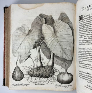 Hortus Eystettensis, Sive Diligens et accurata omnium Plantarum, Florum, Stirpium, ex variis orbis terræ partibus, singulari studio collectarum quæ in celeberrimis viridariis arcem episcopalem ibidem cingentibus, hoc tempore conspiciuntus delineatio et ad vivum repræsentatio Operâ Basilii Besleri Philiatri et pharmacopoei. M.D C.XIII