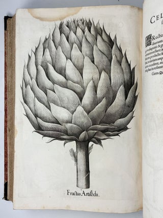Hortus Eystettensis, Sive Diligens et accurata omnium Plantarum, Florum, Stirpium, ex variis orbis terr&aelig; partibus, singulari studio collectarum qu&aelig; in celeberrimis viridariis arcem episcopalem ibidem cingentibus, hoc tempore conspiciuntus delineatio et ad vivum repr&aelig;sentatio Oper&acirc; Basilii Besleri Philiatri et pharmacopoei. M.D C.XIII
