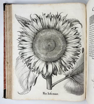 Hortus Eystettensis, Sive Diligens et accurata omnium Plantarum, Florum, Stirpium, ex variis orbis terræ partibus, singulari studio collectarum quæ in celeberrimis viridariis arcem episcopalem ibidem cingentibus, hoc tempore conspiciuntus delineatio et ad vivum repræsentatio Operâ Basilii Besleri Philiatri et pharmacopoei. M.D C.XIII