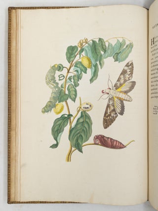 Mari&aelig; Sibill&aelig; Merian dissertatio de generatione et metamorphosibus insectorum Surinamensium: In qu&acirc;, p&aelig;ter vermes & erucas Surinamenses, earuqmque admirandam metamorphosin, Plant&aelig;, flores & fructus, quibus vescuntur, & in quibus fuerunt invent&aelig;, exhibentur. His adjunguntur bufones, lacerti, serpentes, arane&aelig;, aliaque admiranda istius regionis animalcula; omnia manu ejusdem Matron&aelig; in America ad vivum accurate depicta, & nunc &aelig;ri incisa. Accedit Appendix Transformationum piscium in ranas, & ranarum in pisces