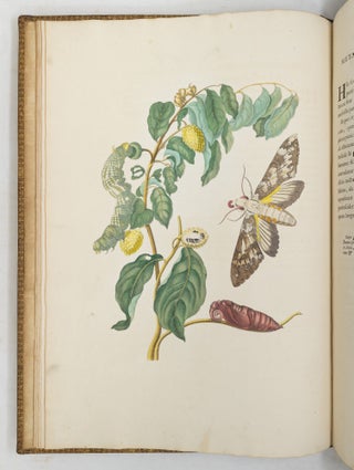 Mariæ Sibillæ Merian dissertatio de generatione et metamorphosibus insectorum Surinamensium: In quâ, pæter vermes & erucas Surinamenses, earuqmque admirandam metamorphosin, Plantæ, flores & fructus, quibus vescuntur, & in quibus fuerunt inventæ, exhibentur. His adjunguntur bufones, lacerti, serpentes, araneæ, aliaque admiranda istius regionis animalcula; omnia manu ejusdem Matronæ in America ad vivum accurate depicta, & nunc æri incisa. Accedit Appendix Transformationum piscium in ranas, & ranarum in pisces