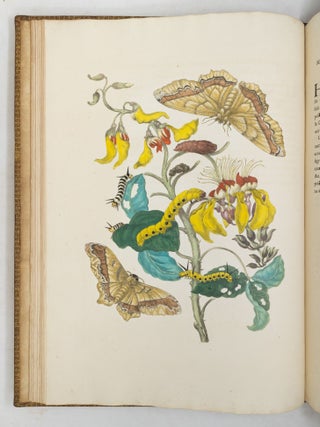 Mari&aelig; Sibill&aelig; Merian dissertatio de generatione et metamorphosibus insectorum Surinamensium: In qu&acirc;, p&aelig;ter vermes & erucas Surinamenses, earuqmque admirandam metamorphosin, Plant&aelig;, flores & fructus, quibus vescuntur, & in quibus fuerunt invent&aelig;, exhibentur. His adjunguntur bufones, lacerti, serpentes, arane&aelig;, aliaque admiranda istius regionis animalcula; omnia manu ejusdem Matron&aelig; in America ad vivum accurate depicta, & nunc &aelig;ri incisa. Accedit Appendix Transformationum piscium in ranas, & ranarum in pisces