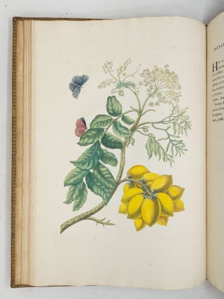 Mari&aelig; Sibill&aelig; Merian dissertatio de generatione et metamorphosibus insectorum Surinamensium: In qu&acirc;, p&aelig;ter vermes & erucas Surinamenses, earuqmque admirandam metamorphosin, Plant&aelig;, flores & fructus, quibus vescuntur, & in quibus fuerunt invent&aelig;, exhibentur. His adjunguntur bufones, lacerti, serpentes, arane&aelig;, aliaque admiranda istius regionis animalcula; omnia manu ejusdem Matron&aelig; in America ad vivum accurate depicta, & nunc &aelig;ri incisa. Accedit Appendix Transformationum piscium in ranas, & ranarum in pisces