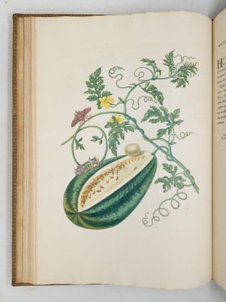 Mari&aelig; Sibill&aelig; Merian dissertatio de generatione et metamorphosibus insectorum Surinamensium: In qu&acirc;, p&aelig;ter vermes & erucas Surinamenses, earuqmque admirandam metamorphosin, Plant&aelig;, flores & fructus, quibus vescuntur, & in quibus fuerunt invent&aelig;, exhibentur. His adjunguntur bufones, lacerti, serpentes, arane&aelig;, aliaque admiranda istius regionis animalcula; omnia manu ejusdem Matron&aelig; in America ad vivum accurate depicta, & nunc &aelig;ri incisa. Accedit Appendix Transformationum piscium in ranas, & ranarum in pisces