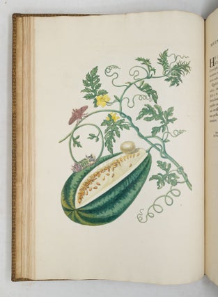 Mariæ Sibillæ Merian dissertatio de generatione et metamorphosibus insectorum Surinamensium: In quâ, pæter vermes & erucas Surinamenses, earuqmque admirandam metamorphosin, Plantæ, flores & fructus, quibus vescuntur, & in quibus fuerunt inventæ, exhibentur. His adjunguntur bufones, lacerti, serpentes, araneæ, aliaque admiranda istius regionis animalcula; omnia manu ejusdem Matronæ in America ad vivum accurate depicta, & nunc æri incisa. Accedit Appendix Transformationum piscium in ranas, & ranarum in pisces