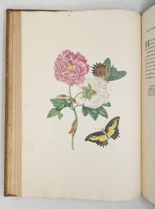 Mariæ Sibillæ Merian dissertatio de generatione et metamorphosibus insectorum Surinamensium: In quâ, pæter vermes & erucas Surinamenses, earuqmque admirandam metamorphosin, Plantæ, flores & fructus, quibus vescuntur, & in quibus fuerunt inventæ, exhibentur. His adjunguntur bufones, lacerti, serpentes, araneæ, aliaque admiranda istius regionis animalcula; omnia manu ejusdem Matronæ in America ad vivum accurate depicta, & nunc æri incisa. Accedit Appendix Transformationum piscium in ranas, & ranarum in pisces