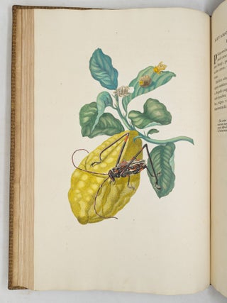 Mari&aelig; Sibill&aelig; Merian dissertatio de generatione et metamorphosibus insectorum Surinamensium: In qu&acirc;, p&aelig;ter vermes & erucas Surinamenses, earuqmque admirandam metamorphosin, Plant&aelig;, flores & fructus, quibus vescuntur, & in quibus fuerunt invent&aelig;, exhibentur. His adjunguntur bufones, lacerti, serpentes, arane&aelig;, aliaque admiranda istius regionis animalcula; omnia manu ejusdem Matron&aelig; in America ad vivum accurate depicta, & nunc &aelig;ri incisa. Accedit Appendix Transformationum piscium in ranas, & ranarum in pisces