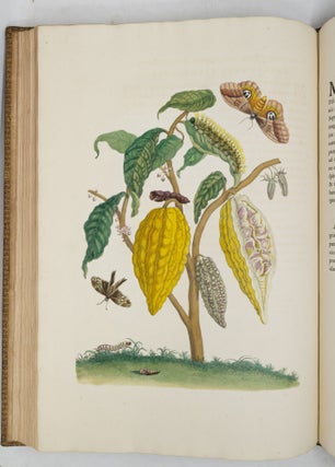 Mariæ Sibillæ Merian dissertatio de generatione et metamorphosibus insectorum Surinamensium: In quâ, pæter vermes & erucas Surinamenses, earuqmque admirandam metamorphosin, Plantæ, flores & fructus, quibus vescuntur, & in quibus fuerunt inventæ, exhibentur. His adjunguntur bufones, lacerti, serpentes, araneæ, aliaque admiranda istius regionis animalcula; omnia manu ejusdem Matronæ in America ad vivum accurate depicta, & nunc æri incisa. Accedit Appendix Transformationum piscium in ranas, & ranarum in pisces