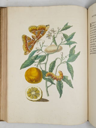 Mari&aelig; Sibill&aelig; Merian dissertatio de generatione et metamorphosibus insectorum Surinamensium: In qu&acirc;, p&aelig;ter vermes & erucas Surinamenses, earuqmque admirandam metamorphosin, Plant&aelig;, flores & fructus, quibus vescuntur, & in quibus fuerunt invent&aelig;, exhibentur. His adjunguntur bufones, lacerti, serpentes, arane&aelig;, aliaque admiranda istius regionis animalcula; omnia manu ejusdem Matron&aelig; in America ad vivum accurate depicta, & nunc &aelig;ri incisa. Accedit Appendix Transformationum piscium in ranas, & ranarum in pisces