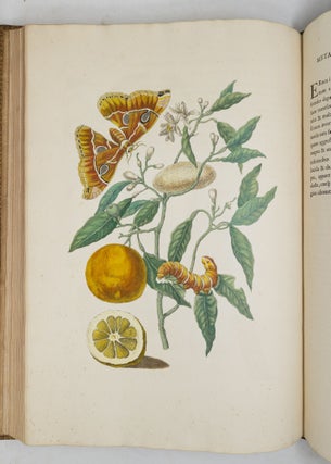 Mariæ Sibillæ Merian dissertatio de generatione et metamorphosibus insectorum Surinamensium: In quâ, pæter vermes & erucas Surinamenses, earuqmque admirandam metamorphosin, Plantæ, flores & fructus, quibus vescuntur, & in quibus fuerunt inventæ, exhibentur. His adjunguntur bufones, lacerti, serpentes, araneæ, aliaque admiranda istius regionis animalcula; omnia manu ejusdem Matronæ in America ad vivum accurate depicta, & nunc æri incisa. Accedit Appendix Transformationum piscium in ranas, & ranarum in pisces