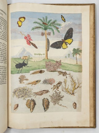 Mari&aelig; Sibill&aelig; Merian dissertatio de generatione et metamorphosibus insectorum Surinamensium: In qu&acirc;, p&aelig;ter vermes & erucas Surinamenses, earuqmque admirandam metamorphosin, Plant&aelig;, flores & fructus, quibus vescuntur, & in quibus fuerunt invent&aelig;, exhibentur. His adjunguntur bufones, lacerti, serpentes, arane&aelig;, aliaque admiranda istius regionis animalcula; omnia manu ejusdem Matron&aelig; in America ad vivum accurate depicta, & nunc &aelig;ri incisa. Accedit Appendix Transformationum piscium in ranas, & ranarum in pisces