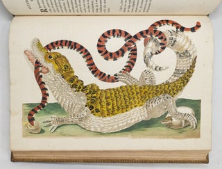 Mariæ Sibillæ Merian dissertatio de generatione et metamorphosibus insectorum Surinamensium: In quâ, pæter vermes & erucas Surinamenses, earuqmque admirandam metamorphosin, Plantæ, flores & fructus, quibus vescuntur, & in quibus fuerunt inventæ, exhibentur. His adjunguntur bufones, lacerti, serpentes, araneæ, aliaque admiranda istius regionis animalcula; omnia manu ejusdem Matronæ in America ad vivum accurate depicta, & nunc æri incisa. Accedit Appendix Transformationum piscium in ranas, & ranarum in pisces