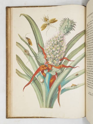 Mari&aelig; Sibill&aelig; Merian dissertatio de generatione et metamorphosibus insectorum Surinamensium: In qu&acirc;, p&aelig;ter vermes & erucas Surinamenses, earuqmque admirandam metamorphosin, Plant&aelig;, flores & fructus, quibus vescuntur, & in quibus fuerunt invent&aelig;, exhibentur. His adjunguntur bufones, lacerti, serpentes, arane&aelig;, aliaque admiranda istius regionis animalcula; omnia manu ejusdem Matron&aelig; in America ad vivum accurate depicta, & nunc &aelig;ri incisa. Accedit Appendix Transformationum piscium in ranas, & ranarum in pisces