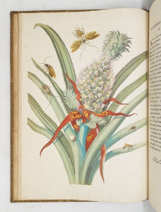 Mariæ Sibillæ Merian dissertatio de generatione et metamorphosibus insectorum Surinamensium: In quâ, pæter vermes & erucas Surinamenses, earuqmque admirandam metamorphosin, Plantæ, flores & fructus, quibus vescuntur, & in quibus fuerunt inventæ, exhibentur. His adjunguntur bufones, lacerti, serpentes, araneæ, aliaque admiranda istius regionis animalcula; omnia manu ejusdem Matronæ in America ad vivum accurate depicta, & nunc æri incisa. Accedit Appendix Transformationum piscium in ranas, & ranarum in pisces