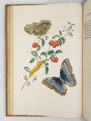 Mari&aelig; Sibill&aelig; Merian dissertatio de generatione et metamorphosibus insectorum Surinamensium: In qu&acirc;, p&aelig;ter vermes & erucas Surinamenses, earuqmque admirandam metamorphosin, Plant&aelig;, flores & fructus, quibus vescuntur, & in quibus fuerunt invent&aelig;, exhibentur. His adjunguntur bufones, lacerti, serpentes, arane&aelig;, aliaque admiranda istius regionis animalcula; omnia manu ejusdem Matron&aelig; in America ad vivum accurate depicta, & nunc &aelig;ri incisa. Accedit Appendix Transformationum piscium in ranas, & ranarum in pisces