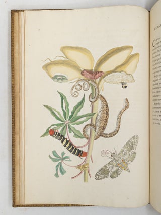 Mari&aelig; Sibill&aelig; Merian dissertatio de generatione et metamorphosibus insectorum Surinamensium: In qu&acirc;, p&aelig;ter vermes & erucas Surinamenses, earuqmque admirandam metamorphosin, Plant&aelig;, flores & fructus, quibus vescuntur, & in quibus fuerunt invent&aelig;, exhibentur. His adjunguntur bufones, lacerti, serpentes, arane&aelig;, aliaque admiranda istius regionis animalcula; omnia manu ejusdem Matron&aelig; in America ad vivum accurate depicta, & nunc &aelig;ri incisa. Accedit Appendix Transformationum piscium in ranas, & ranarum in pisces