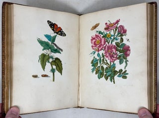 Erucarum ortus, alimentum et paradoxa metamorphosis, In qua Origo, pabulum, transformatio, nec non tempus, locus & proprietates erucarum, vermium, papilionum, phalænarum, muscarum, aliorumque hujusmodi exsanguium animalculorum exhibentur in Favorem, atque insectorum, herbarum, florum, & plantarum Amatorum, tùm etiam pictorum, limbolariorum, aliorumque commodum exactè inquisita, ad vivum delineata, typis excusa, compendiosèque descripta per Mariam Sibillam Merian