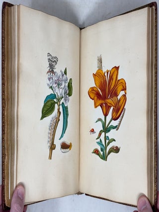 Erucarum ortus, alimentum et paradoxa metamorphosis, In qua Origo, pabulum, transformatio, nec non tempus, locus & proprietates erucarum, vermium, papilionum, phal&aelig;narum, muscarum, aliorumque hujusmodi exsanguium animalculorum exhibentur in Favorem, atque insectorum, herbarum, florum, & plantarum Amatorum, t&ugrave;m etiam pictorum, limbolariorum, aliorumque commodum exact&egrave; inquisita, ad vivum delineata, typis excusa, compendios&egrave;que descripta per Mariam Sibillam Merian