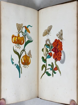 Erucarum ortus, alimentum et paradoxa metamorphosis, In qua Origo, pabulum, transformatio, nec non tempus, locus & proprietates erucarum, vermium, papilionum, phal&aelig;narum, muscarum, aliorumque hujusmodi exsanguium animalculorum exhibentur in Favorem, atque insectorum, herbarum, florum, & plantarum Amatorum, t&ugrave;m etiam pictorum, limbolariorum, aliorumque commodum exact&egrave; inquisita, ad vivum delineata, typis excusa, compendios&egrave;que descripta per Mariam Sibillam Merian