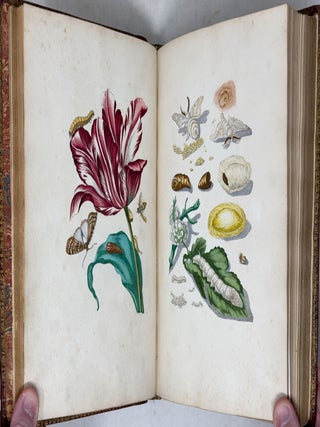 Erucarum ortus, alimentum et paradoxa metamorphosis, In qua Origo, pabulum, transformatio, nec non tempus, locus & proprietates erucarum, vermium, papilionum, phal&aelig;narum, muscarum, aliorumque hujusmodi exsanguium animalculorum exhibentur in Favorem, atque insectorum, herbarum, florum, & plantarum Amatorum, t&ugrave;m etiam pictorum, limbolariorum, aliorumque commodum exact&egrave; inquisita, ad vivum delineata, typis excusa, compendios&egrave;que descripta per Mariam Sibillam Merian