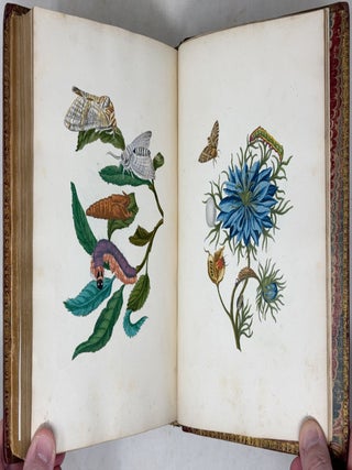Erucarum ortus, alimentum et paradoxa metamorphosis, In qua Origo, pabulum, transformatio, nec non tempus, locus & proprietates erucarum, vermium, papilionum, phal&aelig;narum, muscarum, aliorumque hujusmodi exsanguium animalculorum exhibentur in Favorem, atque insectorum, herbarum, florum, & plantarum Amatorum, t&ugrave;m etiam pictorum, limbolariorum, aliorumque commodum exact&egrave; inquisita, ad vivum delineata, typis excusa, compendios&egrave;que descripta per Mariam Sibillam Merian