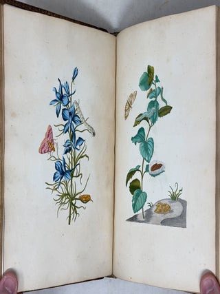 Erucarum ortus, alimentum et paradoxa metamorphosis, In qua Origo, pabulum, transformatio, nec non tempus, locus & proprietates erucarum, vermium, papilionum, phal&aelig;narum, muscarum, aliorumque hujusmodi exsanguium animalculorum exhibentur in Favorem, atque insectorum, herbarum, florum, & plantarum Amatorum, t&ugrave;m etiam pictorum, limbolariorum, aliorumque commodum exact&egrave; inquisita, ad vivum delineata, typis excusa, compendios&egrave;que descripta per Mariam Sibillam Merian