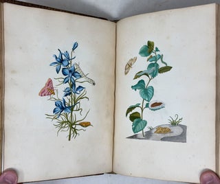 Erucarum ortus, alimentum et paradoxa metamorphosis, In qua Origo, pabulum, transformatio, nec non tempus, locus & proprietates erucarum, vermium, papilionum, phalænarum, muscarum, aliorumque hujusmodi exsanguium animalculorum exhibentur in Favorem, atque insectorum, herbarum, florum, & plantarum Amatorum, tùm etiam pictorum, limbolariorum, aliorumque commodum exactè inquisita, ad vivum delineata, typis excusa, compendiosèque descripta per Mariam Sibillam Merian