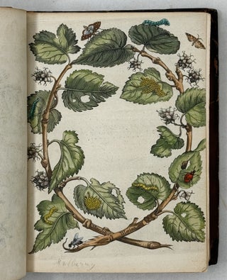 Erucarum ortus, alimentum et paradoxa metamorphosis, In qua Origo, pabulum, transformatio, nec non tempus, locus & proprietates erucarum, vermium, papilionum, phalænarum, muscarum, aliorumque hujusmodi exsanguium animalculorum exhibentur in Favorum, atque insectorum, herbarum, florum, & plantarum Amatorum, tùm etiam pictorum, limbolariorum, aliorumque commodum exactè inquisita, ad vivum delineata, typis excusa, compendiosèque descripta per Mariam Sibillam Merian
