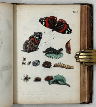 Erucarum ortus, alimentum et paradoxa metamorphosis, In qua Origo, pabulum, transformatio, nec non tempus, locus & proprietates erucarum, vermium, papilionum, phalænarum, muscarum, aliorumque hujusmodi exsanguium animalculorum exhibentur in Favorum, atque insectorum, herbarum, florum, & plantarum Amatorum, tùm etiam pictorum, limbolariorum, aliorumque commodum exactè inquisita, ad vivum delineata, typis excusa, compendiosèque descripta per Mariam Sibillam Merian
