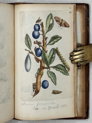 Erucarum ortus, alimentum et paradoxa metamorphosis, In qua Origo, pabulum, transformatio, nec non tempus, locus & proprietates erucarum, vermium, papilionum, phal&aelig;narum, muscarum, aliorumque hujusmodi exsanguium animalculorum exhibentur in Favorum, atque insectorum, herbarum, florum, & plantarum Amatorum, t&ugrave;m etiam pictorum, limbolariorum, aliorumque commodum exact&egrave; inquisita, ad vivum delineata, typis excusa, compendios&egrave;que descripta per Mariam Sibillam Merian