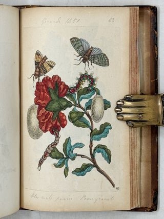 Erucarum ortus, alimentum et paradoxa metamorphosis, In qua Origo, pabulum, transformatio, nec non tempus, locus & proprietates erucarum, vermium, papilionum, phal&aelig;narum, muscarum, aliorumque hujusmodi exsanguium animalculorum exhibentur in Favorum, atque insectorum, herbarum, florum, & plantarum Amatorum, t&ugrave;m etiam pictorum, limbolariorum, aliorumque commodum exact&egrave; inquisita, ad vivum delineata, typis excusa, compendios&egrave;que descripta per Mariam Sibillam Merian