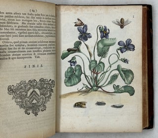 Erucarum ortus, alimentum et paradoxa metamorphosis, In qua Origo, pabulum, transformatio, nec non tempus, locus & proprietates erucarum, vermium, papilionum, phalænarum, muscarum, aliorumque hujusmodi exsanguium animalculorum exhibentur in Favorum, atque insectorum, herbarum, florum, & plantarum Amatorum, tùm etiam pictorum, limbolariorum, aliorumque commodum exactè inquisita, ad vivum delineata, typis excusa, compendiosèque descripta per Mariam Sibillam Merian
