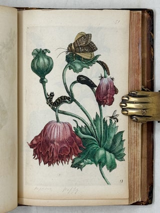 Erucarum ortus, alimentum et paradoxa metamorphosis, In qua Origo, pabulum, transformatio, nec non tempus, locus & proprietates erucarum, vermium, papilionum, phal&aelig;narum, muscarum, aliorumque hujusmodi exsanguium animalculorum exhibentur in Favorum, atque insectorum, herbarum, florum, & plantarum Amatorum, t&ugrave;m etiam pictorum, limbolariorum, aliorumque commodum exact&egrave; inquisita, ad vivum delineata, typis excusa, compendios&egrave;que descripta per Mariam Sibillam Merian