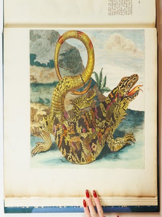 Mari&aelig; Sibill&aelig; Merian dissertatio de generatione et metamorphosibus insectorum surinamensium. . . Dissertation sur la generation et les transformations des insectes de Surinam. . .