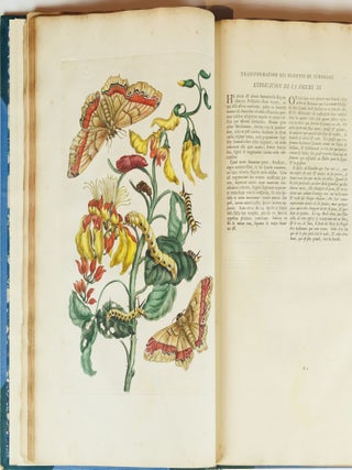 Mari&aelig; Sibill&aelig; Merian dissertatio de generatione et metamorphosibus insectorum surinamensium. . . Dissertation sur la generation et les transformations des insectes de Surinam. . .