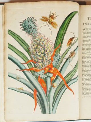 Mari&aelig; Sibill&aelig; Merian dissertatio de generatione et metamorphosibus insectorum surinamensium. . . Dissertation sur la generation et les transformations des insectes de Surinam. . .