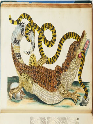 Mari&aelig; Sibill&aelig; Merian dissertatio de generatione et metamorphosibus insectorum surinamensium. . . Dissertation sur la generation et les transformations des insectes de Surinam. . .