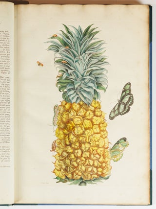 Mari&aelig; Sibill&aelig; Merian dissertatio de generatione et metamorphosibus insectorum surinamensium. . . Dissertation sur la generation et les transformations des insectes de Surinam. . .