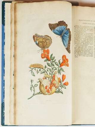 Mari&aelig; Sibill&aelig; Merian dissertatio de generatione et metamorphosibus insectorum surinamensium. . . Dissertation sur la generation et les transformations des insectes de Surinam. . .