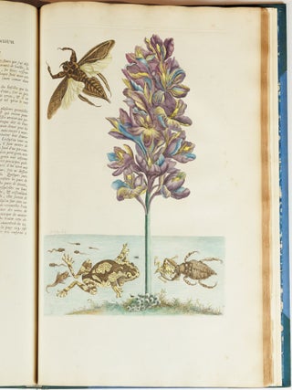 Mari&aelig; Sibill&aelig; Merian dissertatio de generatione et metamorphosibus insectorum surinamensium. . . Dissertation sur la generation et les transformations des insectes de Surinam. . .