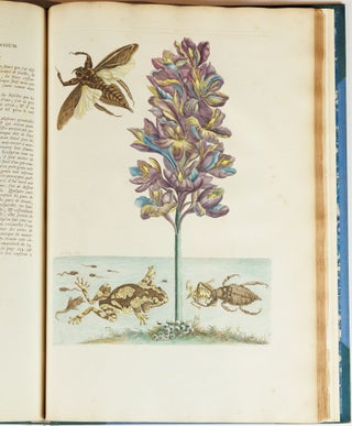 Mariæ Sibillæ Merian dissertatio de generatione et metamorphosibus insectorum surinamensium. . . Dissertation sur la generation et les transformations des insectes de Surinam. . .